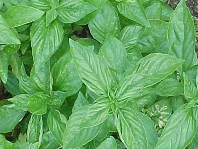 Για γερά νεύρα!